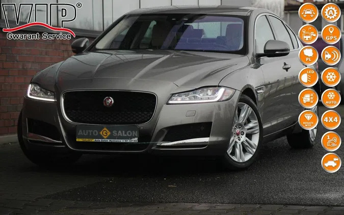 jaguar xf śląskie Jaguar XF cena 125990 przebieg: 23000, rok produkcji 2018 z Łasin